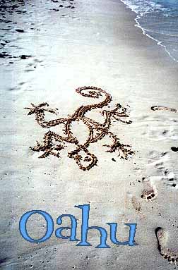 gecko drawn in sand on Kailua beach