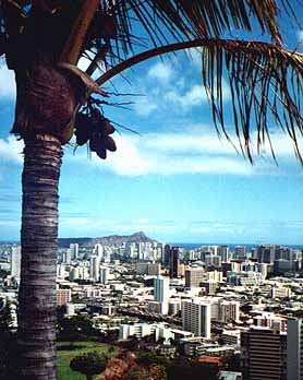 Honolulu and Waikiki from Punchbowl