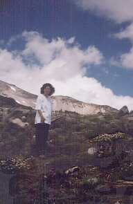 Mt. Shasta #2